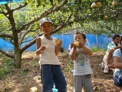 「【堺周辺】11月15日・16日の今週末のおでかけにもおすすめ！人気スポットランキング」の写真