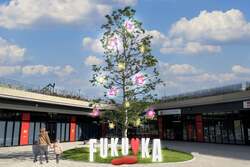 「ららぽーと福岡で「ウィンターデコレーション」どんたくテーマの光と音の体験型ドーム」の写真