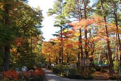 「山梨県民の日は富士すばるランドへ！　入園無料＆ワンデーパスポートが特別価格」の写真