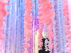 「ソニーの嗅覚技術で楽しむ「におい展PLUS+」東京スカイツリーで開催」の写真