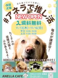 ANELLA CAFE 函館店