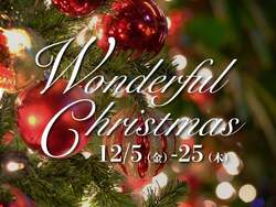 「大阪・りんくうアウトレットでサンタに会える！　ドラクエコラボも開催中」の写真