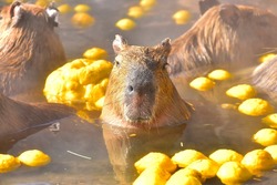 「【東海】2025年12月におすすめ！親子向けおでかけ先＆イベントまとめ」の写真