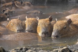 「【東海】2025年12月におすすめ！親子向けおでかけ先＆イベントまとめ」の写真