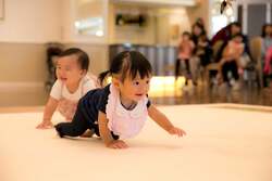 ハイハイレース