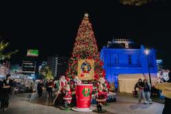 「130体超のサンタ像がお出迎え！　福岡市中央区でクリスマスイベント開催」の写真