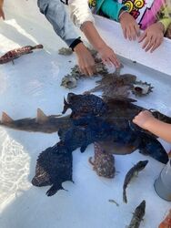 「【関東】食欲の秋に！11月22日～24日の三連休に開催のグルメイベント・フェス7選」の写真