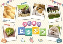 ふれあい動物広場