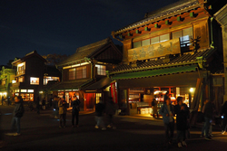 夜間特別開園 紅葉とたてもののライトアップ