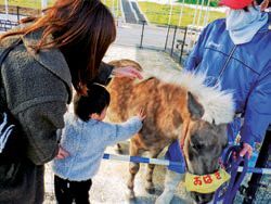 ポニーランド50周年祭 ポニフェス!! 〜ありがとうの気持ちを乗せて〜