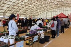 第18回 和気町ふるさとまつり