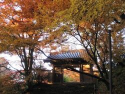 第25回 宝の山 高良山もみじ狩り祭り│（C）久留米観光コンベンション国際交流協会