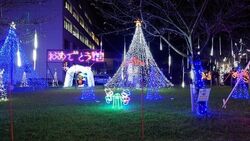 清武町イルミネーション点灯式（昨年度のイルミネーションの様子）