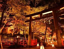 出雲大神宮 境内紅葉ライトアップ