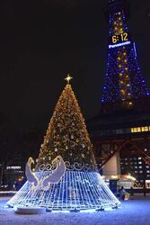 2025さっぽろホワイトイルミネーション（第45回）│さっぽろホワイトイルミネーション実行委員会