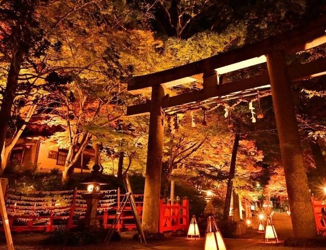 出雲大神宮 境内紅葉ライトアップ