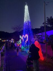 大井イルミネーション
