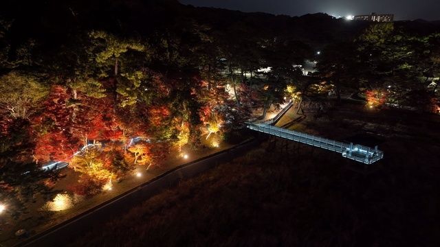 東公園紅葉まつり／岡崎市