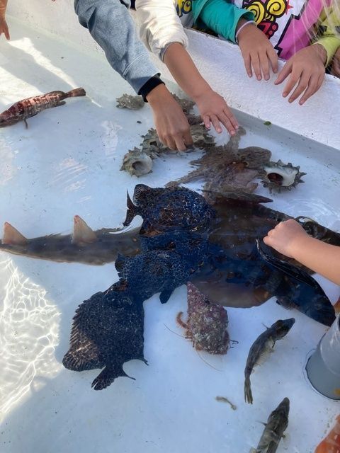 令和7年度 三崎港町まつり（過去開催の様子）