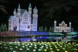 第15回 グリムの森イルミネーション（写真は過去の様子）