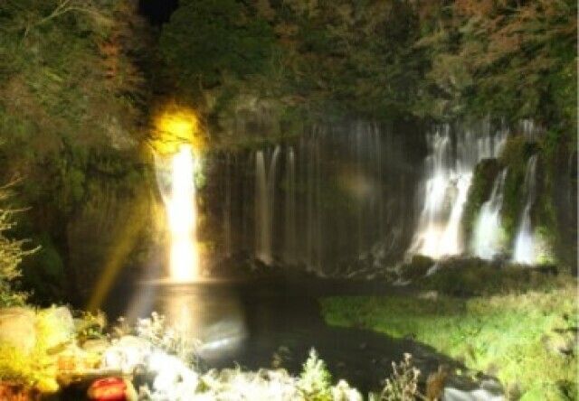 世界遺産 白糸ノ滝ライトアップ2025／(c)富士宮市