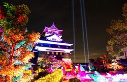 きよすイルミ2025／過去開催時の様子