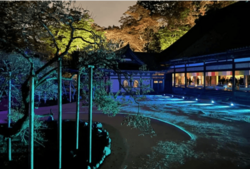 「【宮城】2025年11月22日・23日・24日の三連休に楽しめるイベント9選　無料も！」の写真