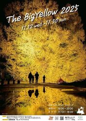 日本一の大イチョウ・ライトアップ「ビッグイエロー2025」