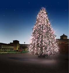 「那須ガーデンアウトレットで無料ドッグラン＆イルミ！　冬のおでかけスポットに最適」の写真