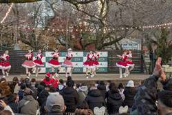 「御殿場高原で冬グルメとイルミを満喫！　ウィンターマーケット開催」の写真