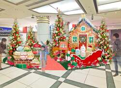 【サニーテラス】