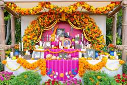 東京ディズニーシー「ラソス・デ・ラ・ファミリア」