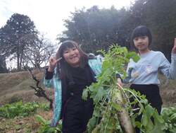 「信州の里山で薪割り・もちつき・そり滑り！　冬休み山賊キャンプ参加者募集中」の写真