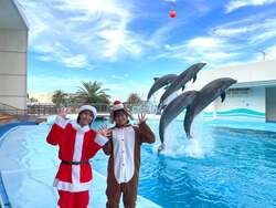 「輝く魚とイルミの幻想空間！　南知多ビーチランドで「きらめくおさかな展」初開催」の写真