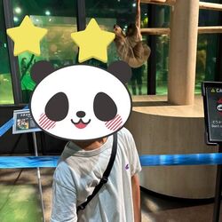 「【沖縄】11月22日～24日の三連休おでかけにもおすすめ！人気スポットランキング」の写真