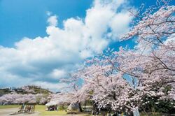 「【鹿児島】11月22日～24日の三連休おでかけにもおすすめ！人気スポットランキング」の写真