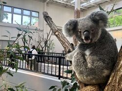 「【鹿児島】11月22日～24日の三連休おでかけにもおすすめ！人気スポットランキング」の写真