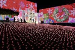 「10年連続全国1位！　あしかがフラワーパーク2025クリスマスイルミネーション開催」の写真