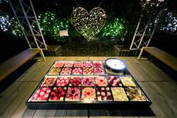 「10年連続全国1位！　あしかがフラワーパーク2025クリスマスイルミネーション開催」の写真