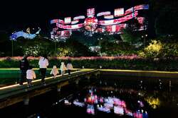 「10年連続全国1位！　あしかがフラワーパーク2025クリスマスイルミネーション開催」の写真