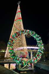 「10年連続全国1位！　あしかがフラワーパーク2025クリスマスイルミネーション開催」の写真