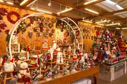 「10年連続全国1位！　あしかがフラワーパーク2025クリスマスイルミネーション開催」の写真