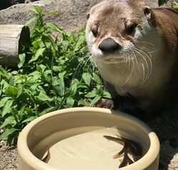 「【岩手】11月22日～24日の三連休おでかけにもおすすめ！人気スポットランキング」の写真