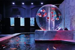 「【宮城】11月22日～24日の三連休おでかけにもおすすめ！人気スポットランキング」の写真