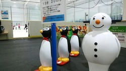 「【2025-2026】関東のアイススケート場おすすめ16選　冬季期間限定から通年までを厳選」の写真