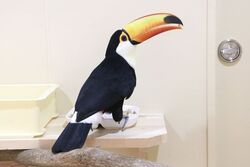 「【山形】11月22日～24日の三連休おでかけにもおすすめ！人気スポットランキング」の写真