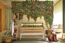 いちご農園をイメージした空間　