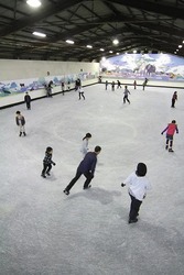 「【2025-2026】関東のアイススケート場おすすめ16選　冬季期間限定から通年までを厳選」の写真