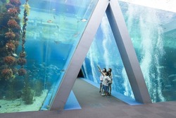 「【福島】11月22日～24日の三連休おでかけにもおすすめ！人気スポットランキング」の写真