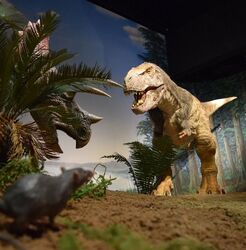 「【茨城】11月22日～24日の三連休おでかけにもおすすめ！人気スポットランキング」の写真